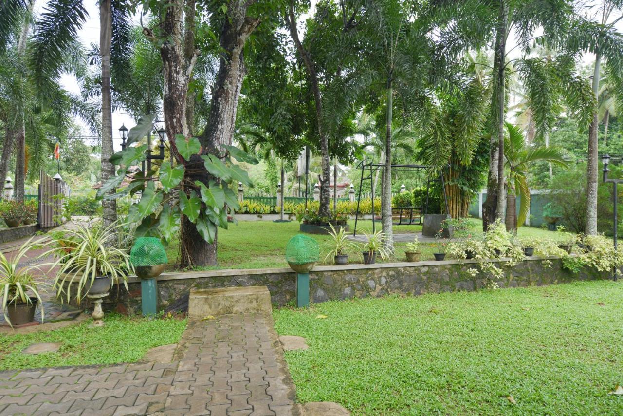 Venus Resorts Danwilana Bagian luar foto
