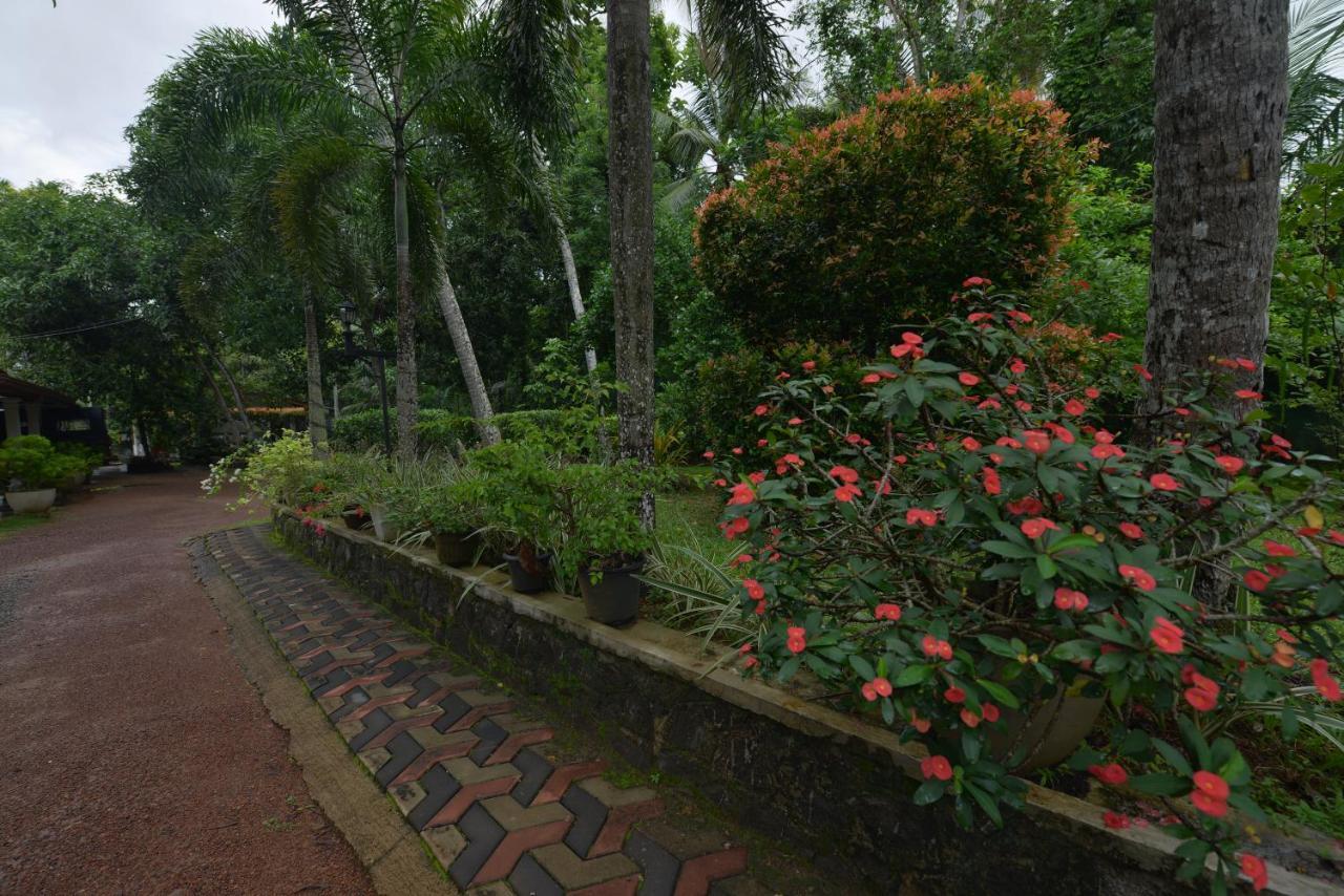 Venus Resorts Danwilana Bagian luar foto