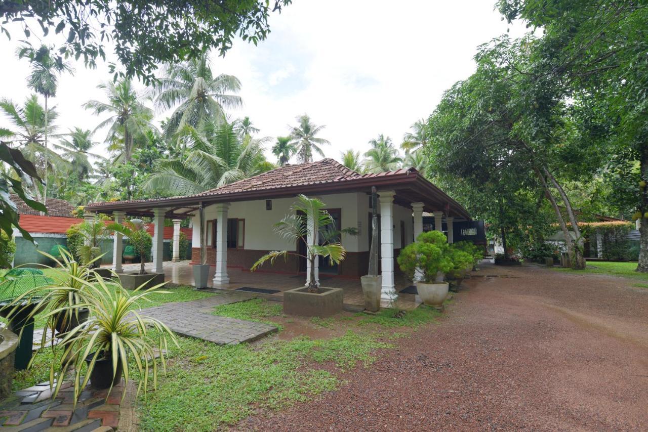 Venus Resorts Danwilana Bagian luar foto