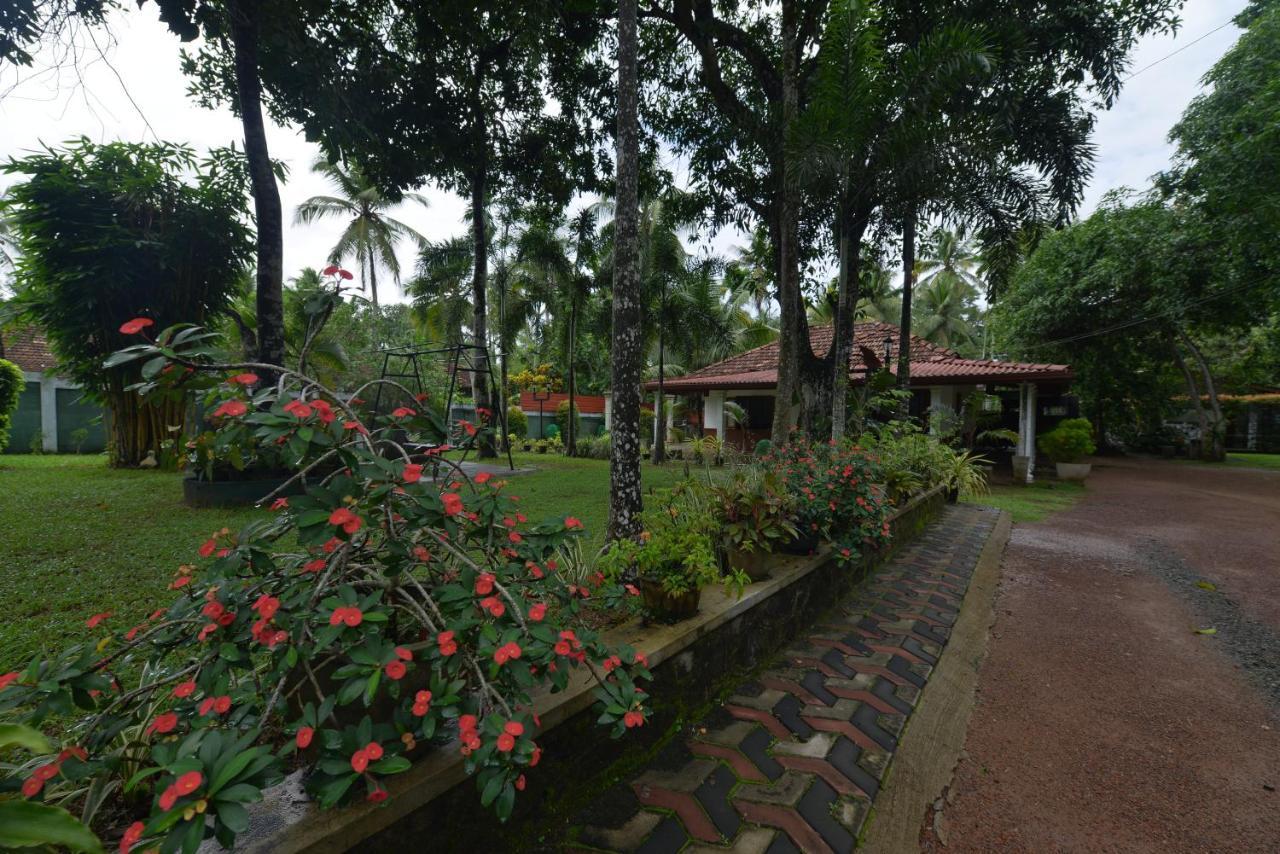 Venus Resorts Danwilana Bagian luar foto